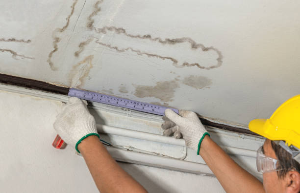 Reliable Water Damage contractor in Saucier, MS by Water Damage Irwin